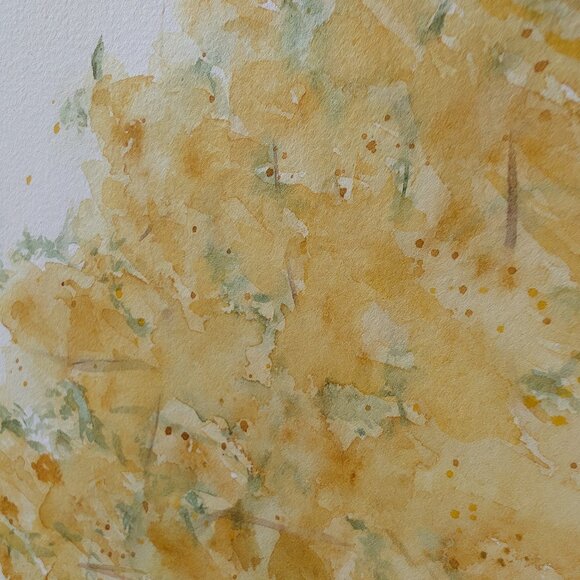 Golden Shower Tree Cassia Fistula: Original Watercolor Painting - Picture 2 of 5